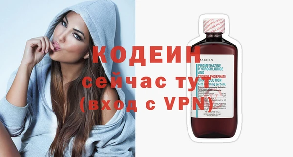 соль ск Новодвинск