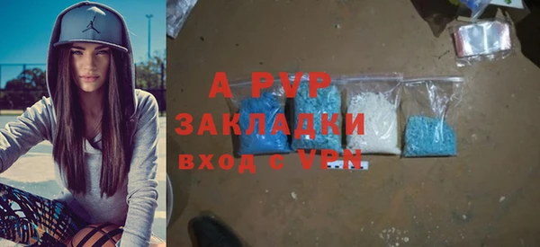 крисы Новокубанск
