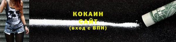 мет Новозыбков