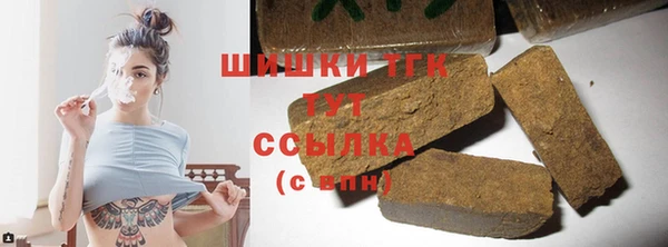 мет Новозыбков