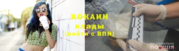мет Новозыбков