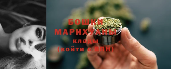 крисы Новокубанск