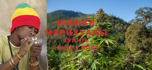 соль ск Новодвинск