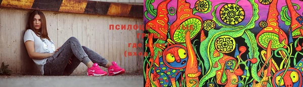 крисы Новокубанск
