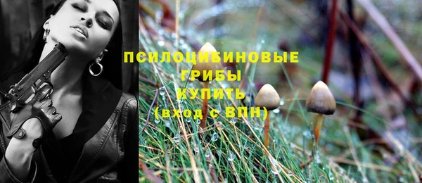 мет Новозыбков