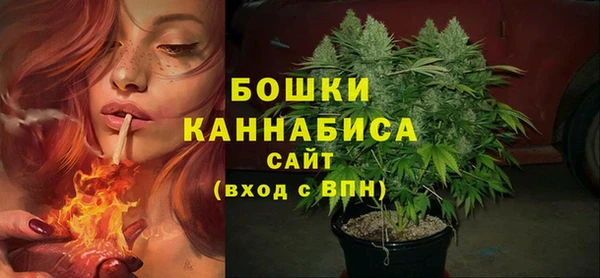 соль ск Новодвинск