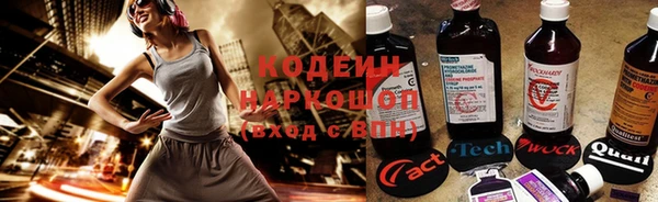 мет Новозыбков