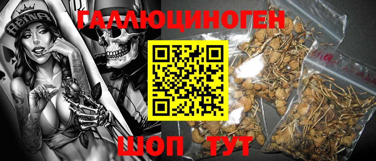 Галлюциногенные грибы GOLDEN TEACHER Салават
