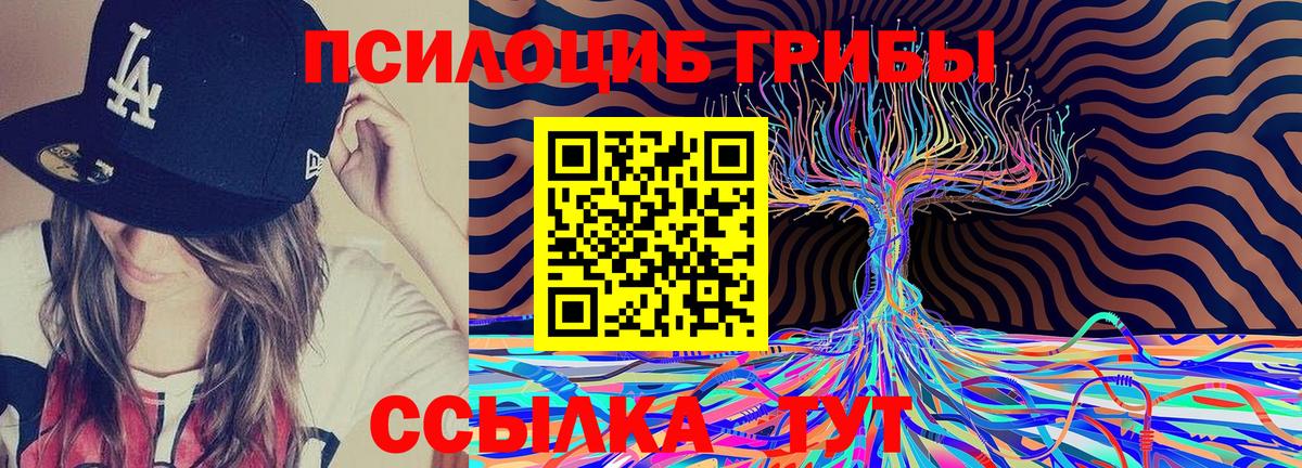Салават  Псилоцибиновые грибы Psilocybine cubensis  Вход с VPN  Галлюциногенные грибы MAGIC MUSHROOMS 